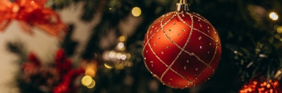 NHP News Alert Dezember 2025