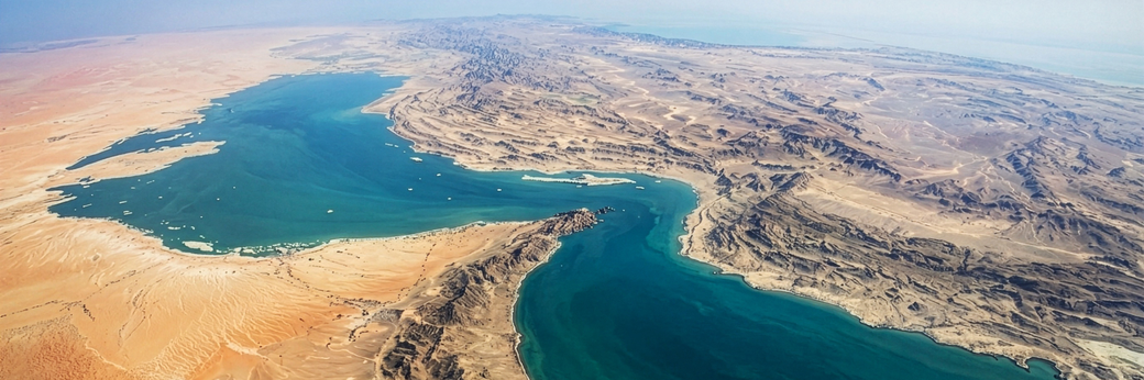 NHP News Alert April 2026